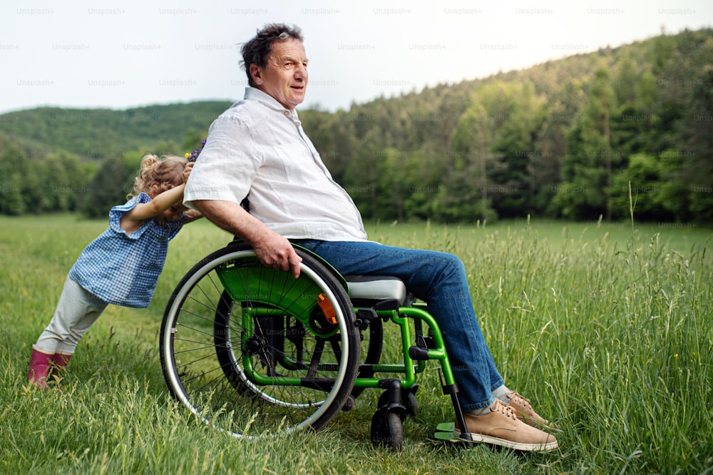 Small girl with senior grandfather in wheelchair on a walk on meadow in nature, pushing.