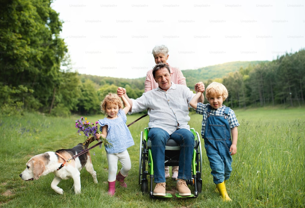 Petits enfants avec grands-parents âgés en fauteuil roulant et chien lors d’une promenade sur la prairie dans la nature.