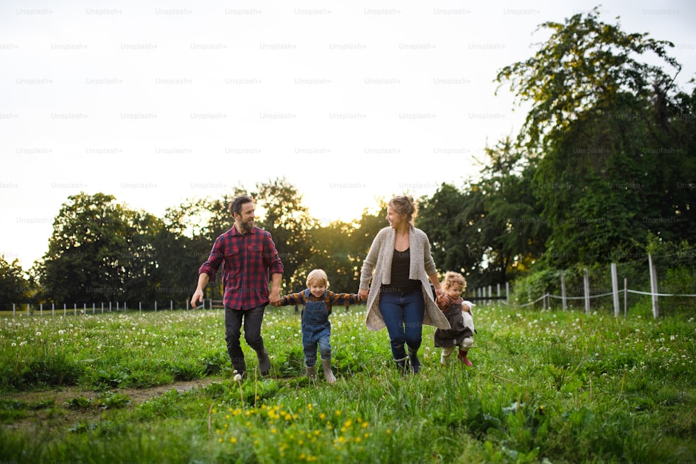 Porträt einer glücklichen Familie mit kleinen Kindern, die auf dem Bauernhof spazieren gehen und sprechen.