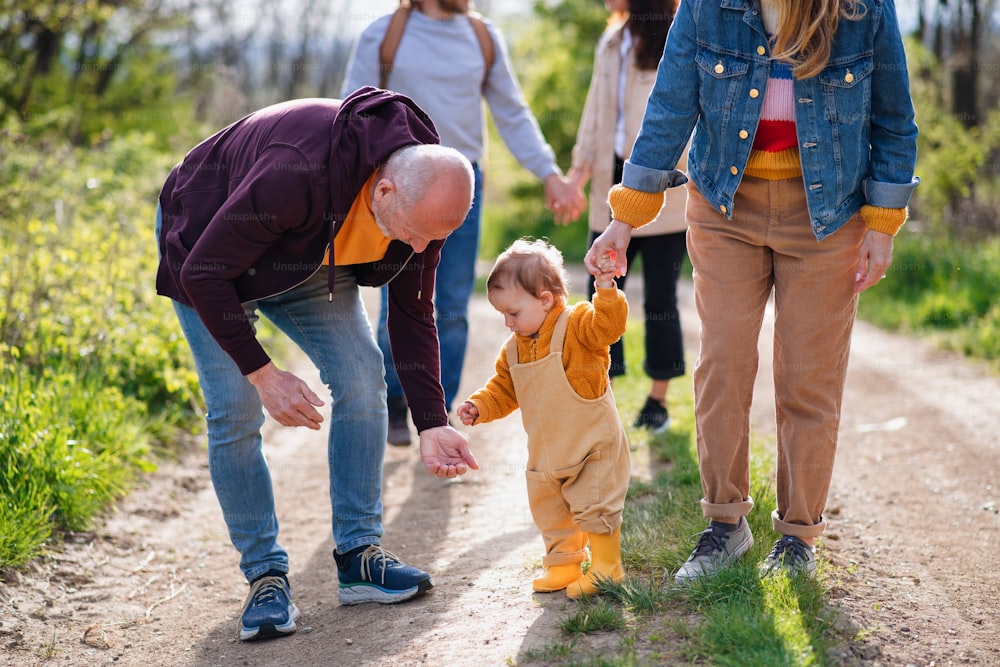 Small toddler with unrecognizable parents and grandparents on a walk outdoors in nature, looking at camera.