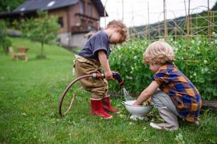 Two small children in vegetable garden, sustainable lifestyle concept.