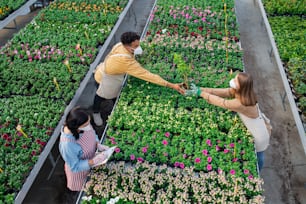 Top view of group of people working in greenhouse in garden center, coronavirus concept.