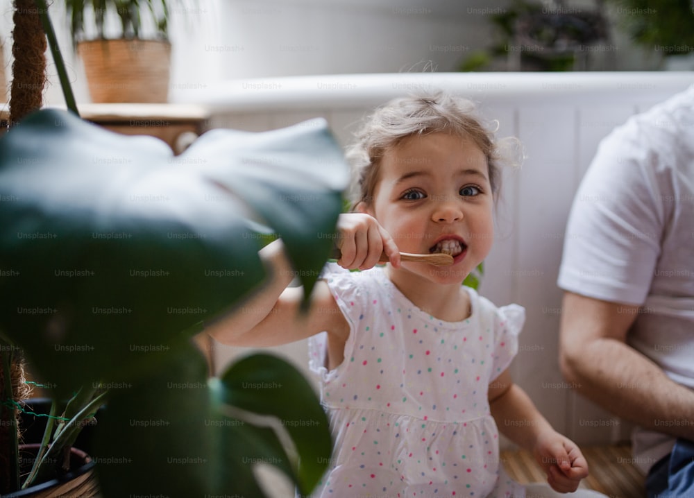 Ein kleines Mädchen putzt drinnen zu Hause Zähne, nachhaltiges Lifestyle-Konzept.