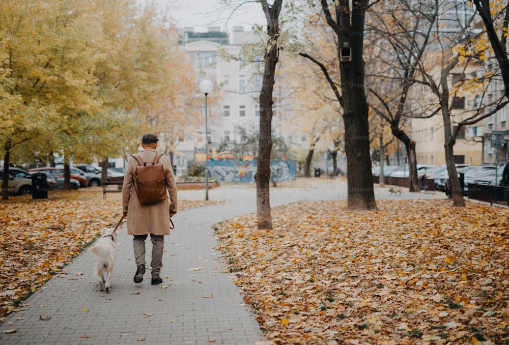 秋の日、公園で犬の散歩をしている年配の男性の後ろ姿。