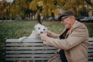 행복한 노인이 벤치에 앉아 공원에서 야외에서 개를 산책하는 동안 휴식을 취하고 있습니다.