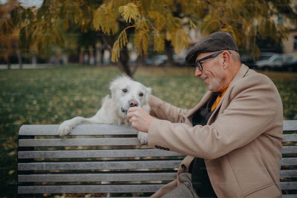 Ein glücklicher älterer Mann, der auf der Bank sitzt und sich während des Hundespaziergangs im Park ausruht.