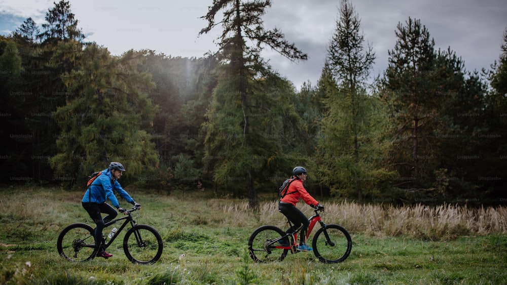 A side view of active senior couple riding bikes outdoors in forest in autumn day.