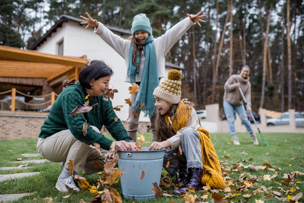 Happy little girls with a grandmother picking up leaves and putting them in bucket in garden in autumn