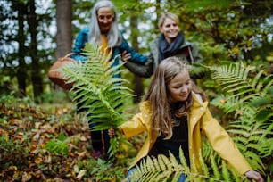A happy little girl holding fern leaves during autumn walk with mother and grandmother in forest