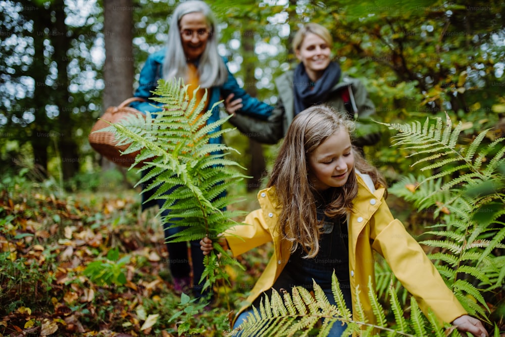 Una niña feliz sosteniendo hojas de helecho durante la caminata de otoño con la madre y la abuela en el bosque