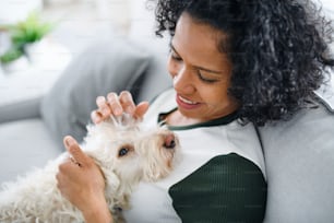 A portrait of happy mature woman sitting indoors at home, playing with dog.