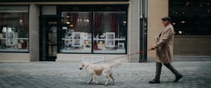 Una vista laterale di un elegante uomo anziano con caffè da asporto che porta a spasso il suo cane all'aperto in città in inverno.