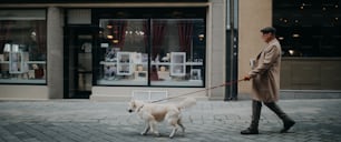 冬の街で屋外で犬の散歩をしているコーヒーを持ち帰るエレガントな年配の男性の側面図。