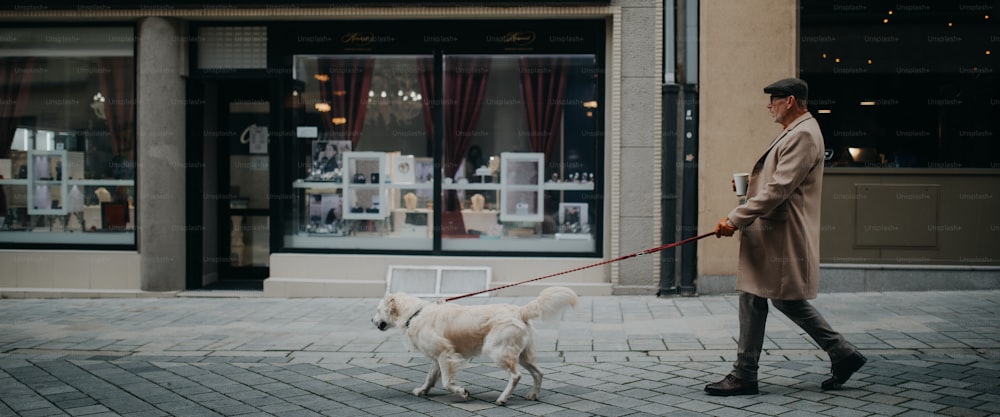 Eine Seitenansicht des eleganten älteren Mannes mit Kaffee zum Mitnehmen, der im Winter mit seinem Hund im Freien in der Stadt spazieren geht.