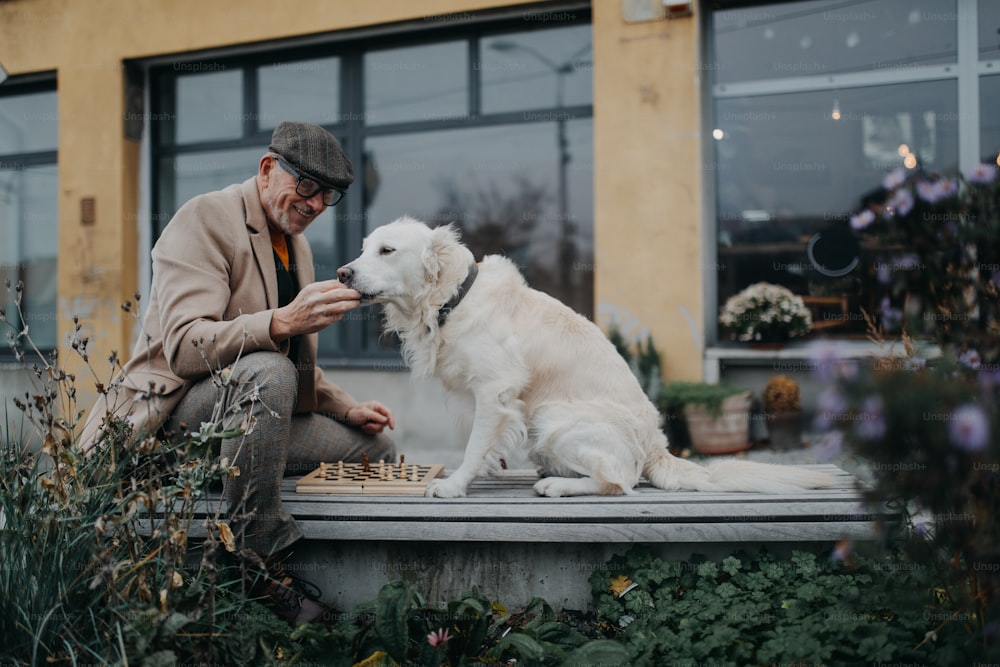 Ein glücklicher älterer Mann, der auf der Bank sitzt und seinen Hund draußen in der Stadt füttert.