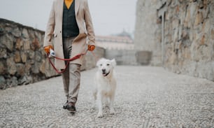A low section of elegant senior man walking his dog outdoors in city.