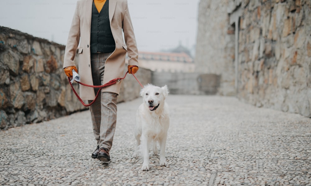 Una sección baja de un elegante anciano paseando a su perro al aire libre en la ciudad.