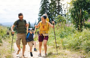 Vista frontal de la familia con el hijo pequeño caminando al aire libre en la naturaleza del verano.