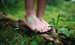 Pieds nus de l’homme debout pieds nus à l’extérieur dans la nature, le concept de mise à la terre et de bain de forêt.