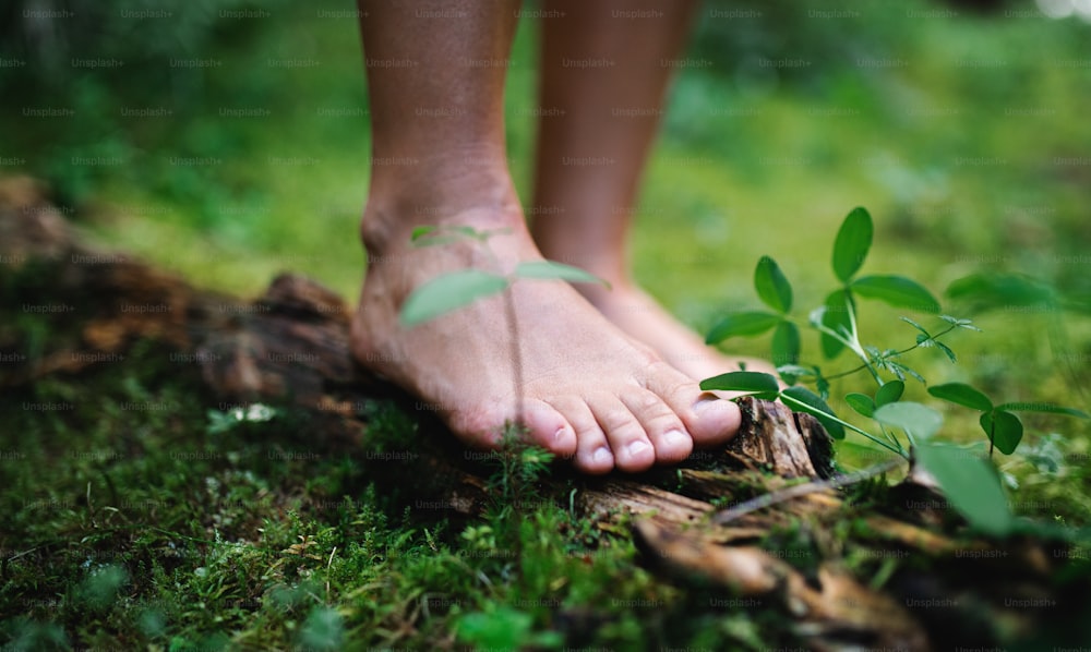Bare feet of man standing barefoot outdoors in nature, grounding and forest bathing concept.