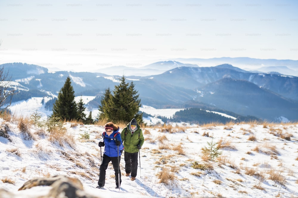 눈 덮인 겨울 자연, 건강한 라이프스타일 컨셉에서 하이킹을 하는 노르딕 지팡이를 가진 노부부.