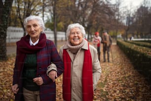 Amiche anziane felici su una passeggiata all'aperto nel parco cittadino in autunno, guardando la macchina fotografica.