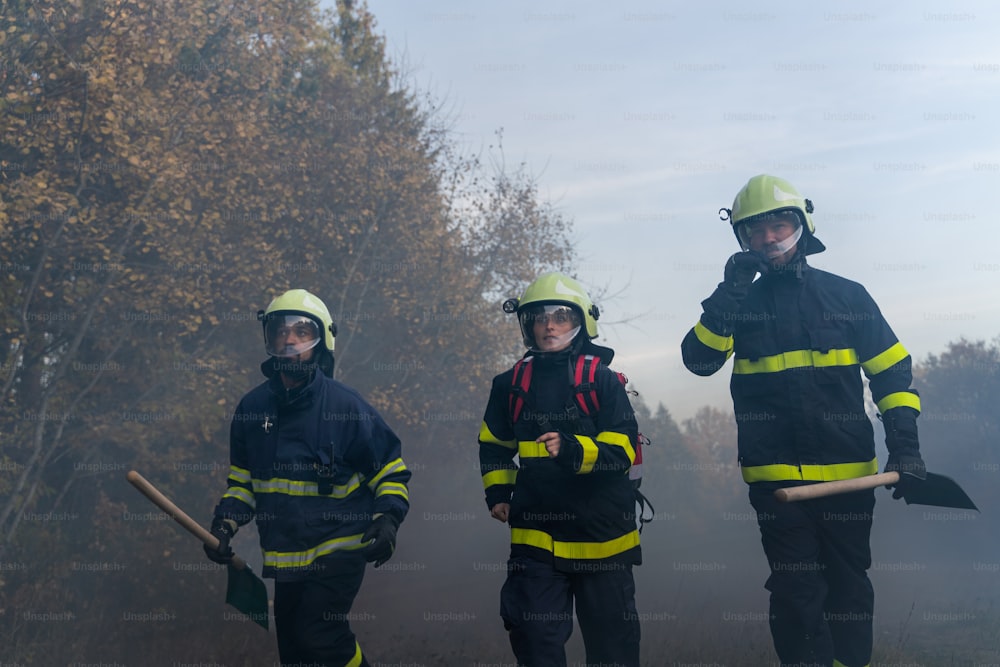 Bombeiros homens e mulheres em ação, correndo através da fumaça para parar o fogo na floresta.