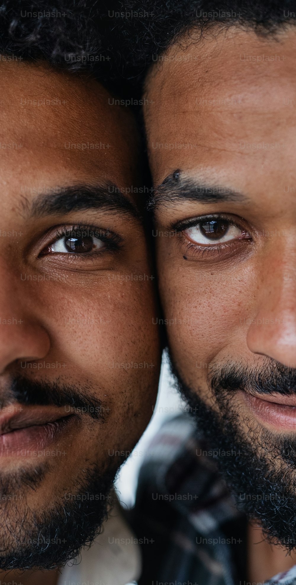 Retrato de vista frontal em close-up de irmãos jovens adultos olhando para a câmera.
