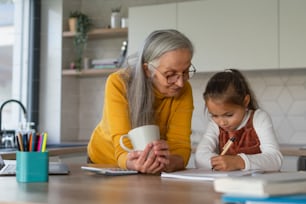 A small girl with senior grandmother doing homework at home.