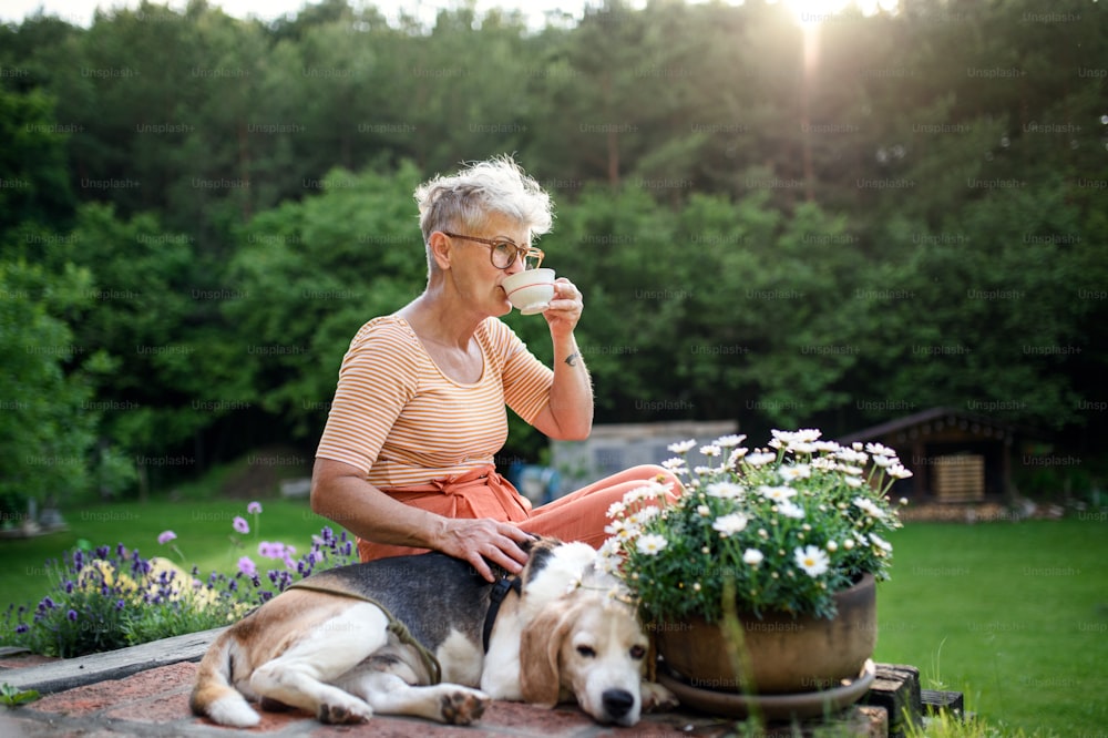 庭の屋外に座ってコーヒーを飲みながらリラックスしているペットの犬を連れた年配の女性の側面図の肖像画。