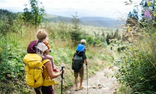 A rear view of family with small children hiking outdoors in summer nature, walking.