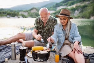 Portrait d’un couple de personnes âgées heureux se reposant lors d’un voyage de vacances d’été, barbecue au bord du lac.