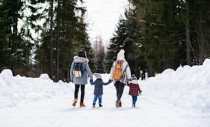 冬の自然の中で手をつないで雪の中を歩く2人の小さな子供を持つ家族の後ろ姿。