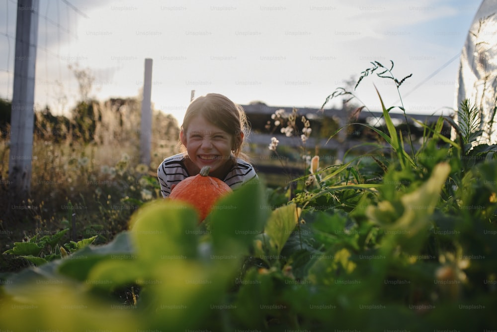 A happy little farmer girl holding organic pumpkin outdoors at community farm.