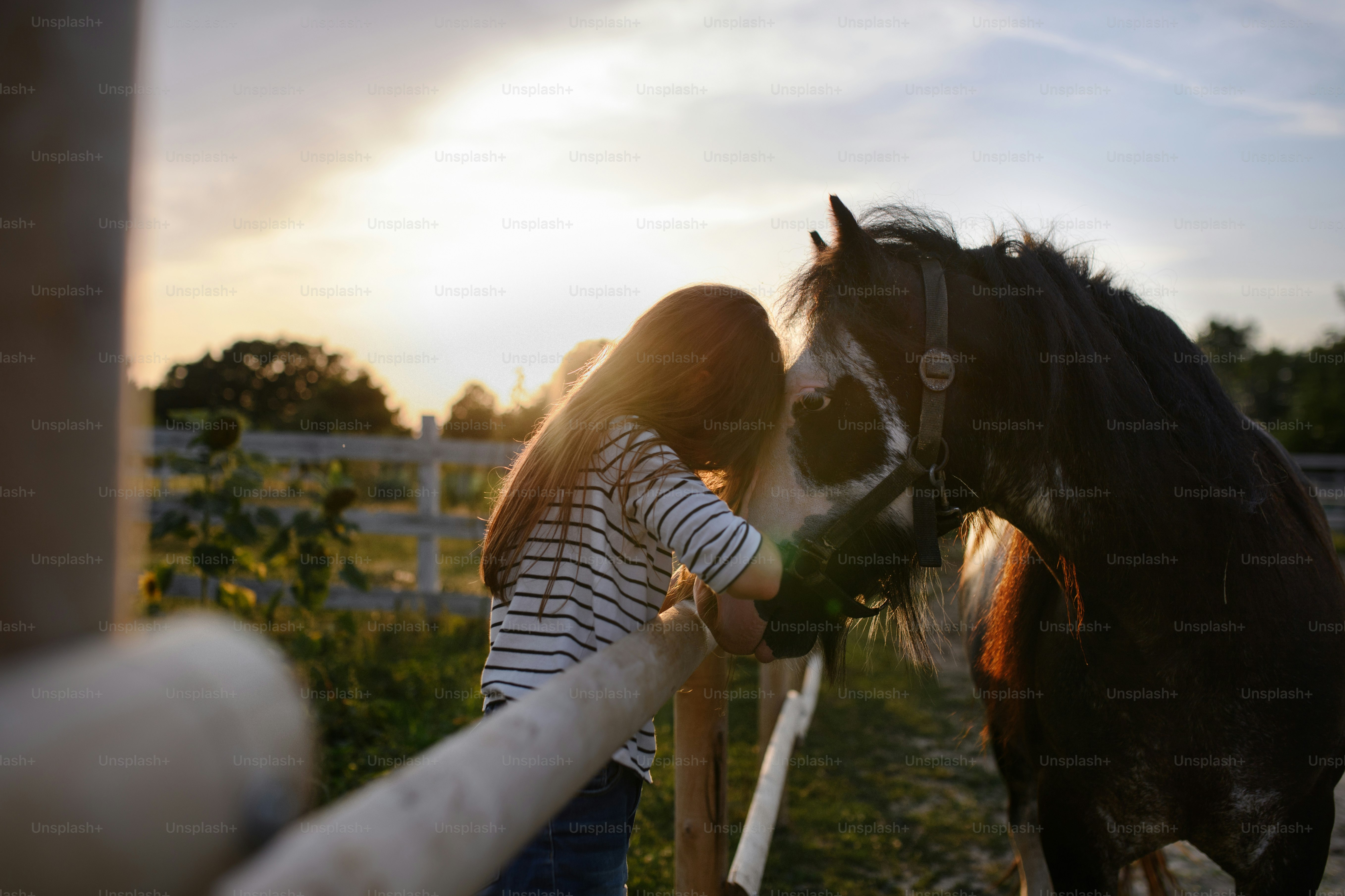 Une petite fille étreignant un cheval à l’extérieur d’une ferme communautaire.