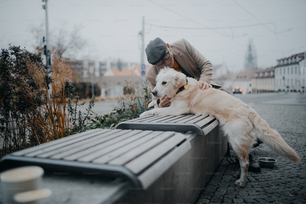 A happy senior man sitting on bench and resting during dog walk outdoors in city.