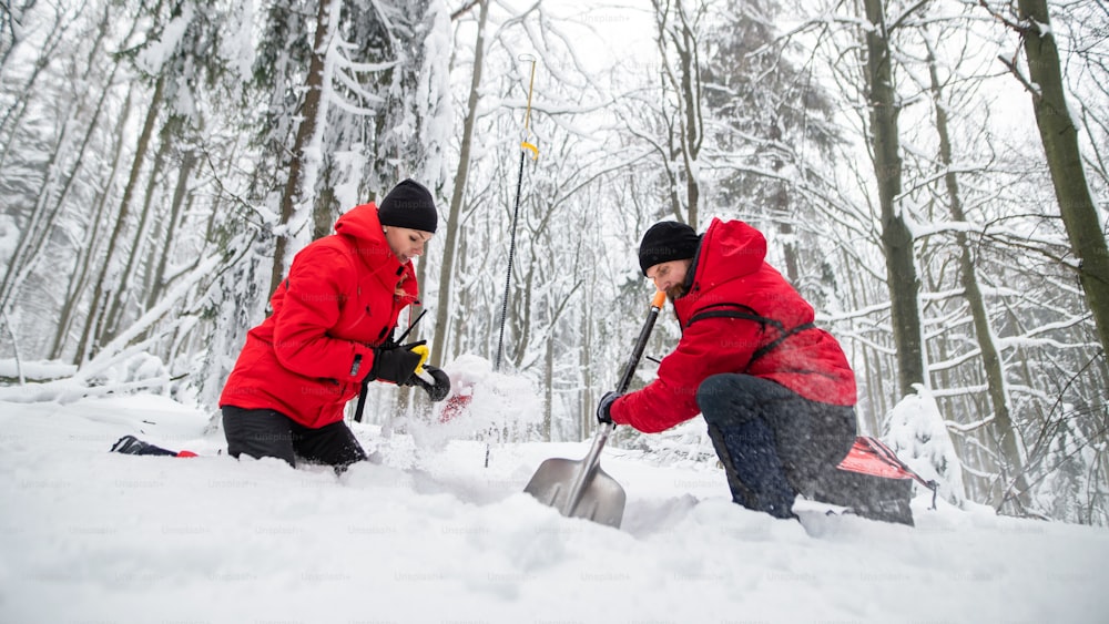 Niedrige Winkelansicht eines Bergrettungsdienstes im Einsatz im Freien im Winter im Wald, Schnee graben mit Schaufeln.