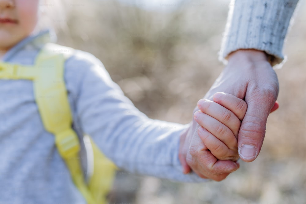 A father and daughter hold hands on walk in nature.