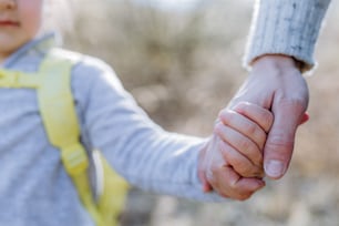 A father and daughter hold hands on walk in nature.