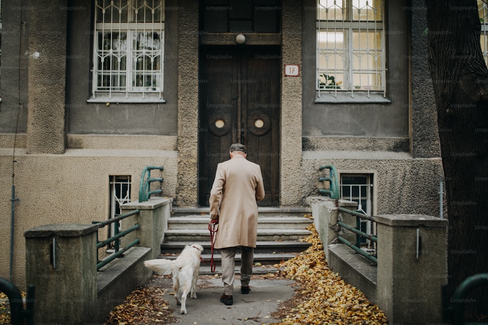 冬の街中で犬を連れて散歩から帰宅する上品な年配の男性の後ろ姿。