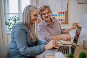 Mulheres arquitetas ecológicas seniores com as plantas trabalhando em laptop juntas no escritório.