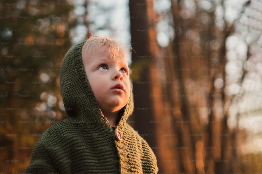 Um garotinho curioso em caminhada na floresta, olhando para cima.