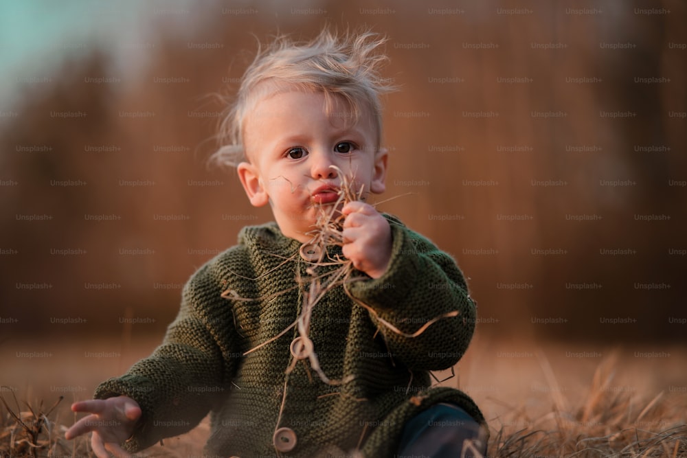 男の子の屋外の秋の肖像画。庭の赤と黄色の紅葉で楽しんでいる子供