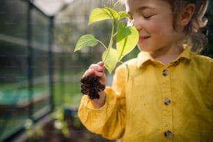 Uma garotinha cheirando planta de pimenta, ao transplantá-la em estufa ecológica, aprenda jardinagem.