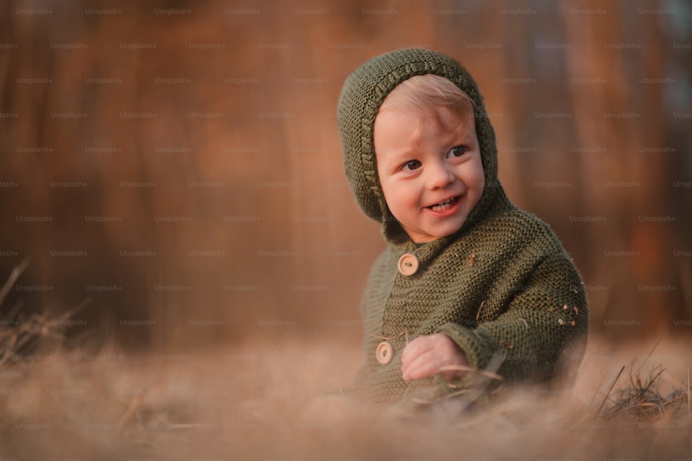니트 스웨터를 입은 행복한 어린 소년이 자연의 풀밭에 앉아 있다.
