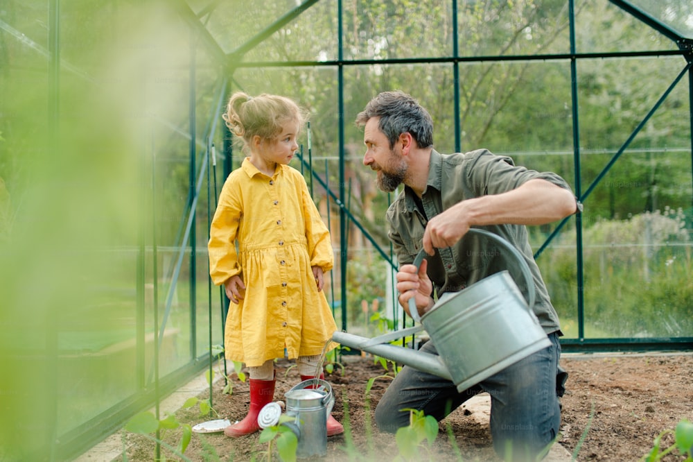 A father learning his little daughter to care about organic plants in eco greenhouse, sustainable lifestyle.
