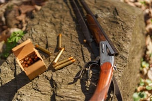 A hunter's rifle gun near tree stump in forest.