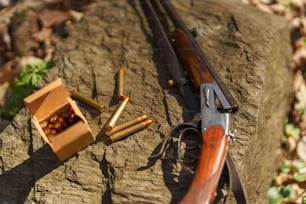森の木の切り株の近くにあるハンターのライフル銃。