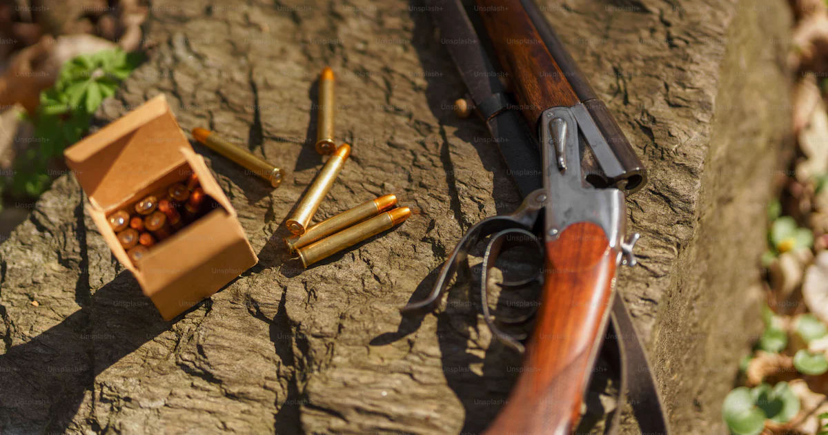 A hunter's rifle gun near tree stump in forest. photo – Forest Image on ...