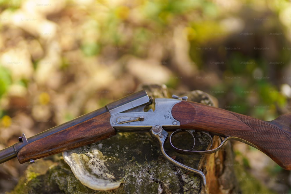 Arma de fuzil de um caçador perto de toco de árvore na floresta.